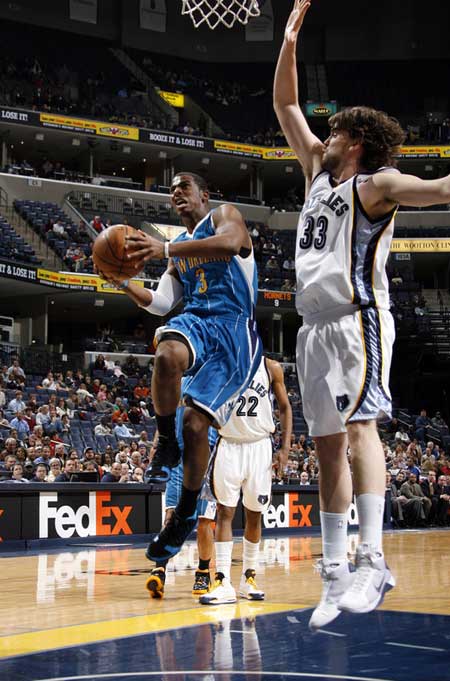 的游客在游 的游客在游